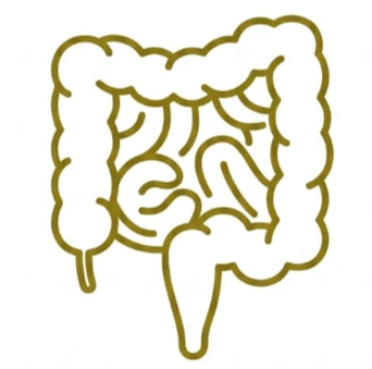 Gastroenterology