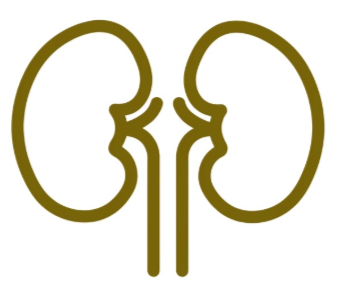 Nephrology